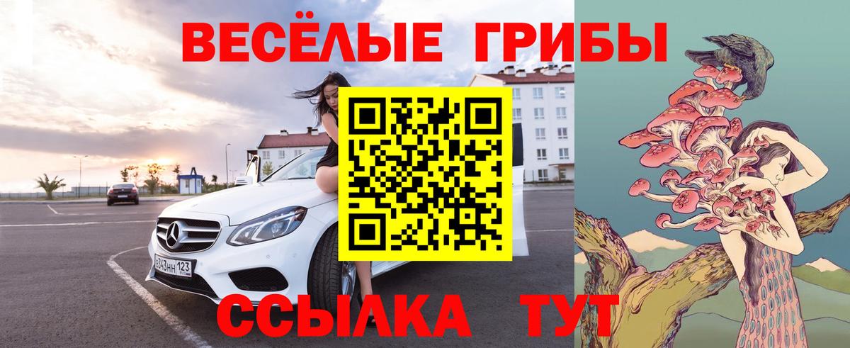 Псилоцибиновые грибы Psilocybine cubensis Петропавловск-Камчатский